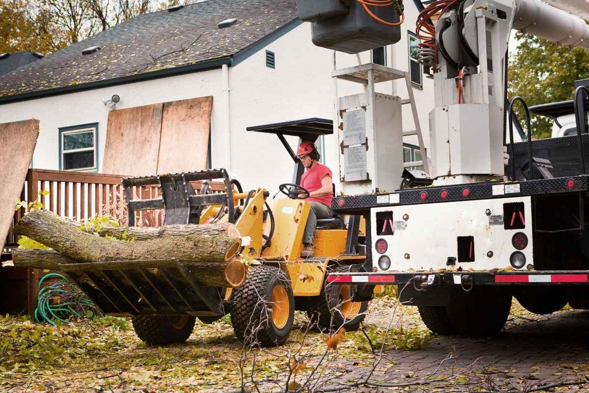 Emergency tree service Bentonville AR